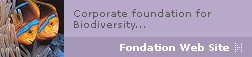 Link to Foundation website